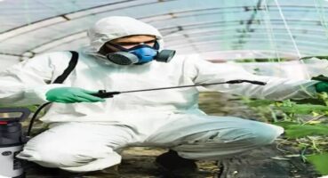 Böcek İlaçlama: Ankara’da Ev Sağlığınız İçin Almanız Gereken Adımlar