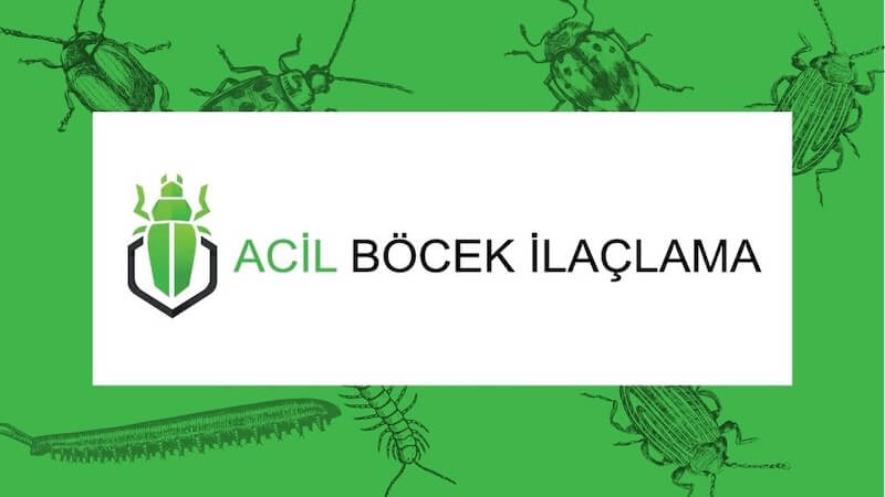 Profesyonel Böcek İlaçlama Hizmeti